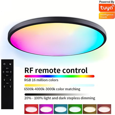 Plafonnier LED RGB 24 W avec télécommande, intensité variable 3 000 K-6 500 K, Ø 30 cm (1/3)