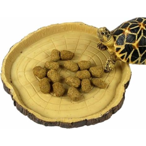 RHG Gamelle Reptile Petit Modèle – gamelle, Bol d’Eau, Bol à Nourriture pour Les Reptiles, Les Geckos, Les Tortues, Les Serpents - Accessoires terraristiques (Souche)