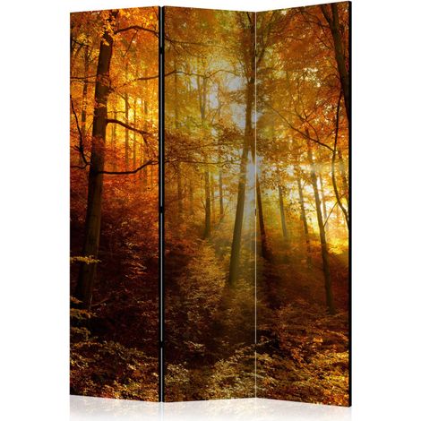 Paravent 3 Volets "Autumn Illumination" 135x172cm (1/2)