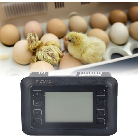 Accessoires pour incubateur : Contrôleur dédié pour incubateur 100-240 V, régulateur de température ZL-7901A (1/5)