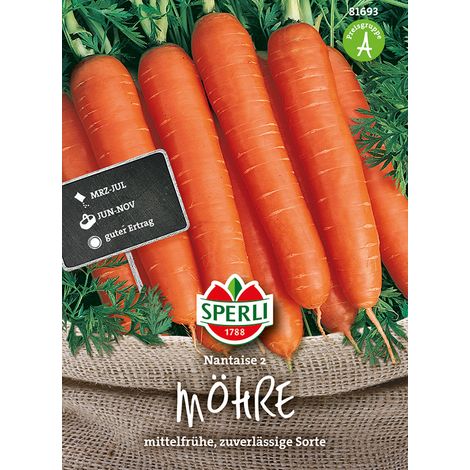 Sperli – Carotte « Nantaise 2 » – Graines de légumes, carotte de botte orange, 15-20 cm, mi-précoce (1/2)