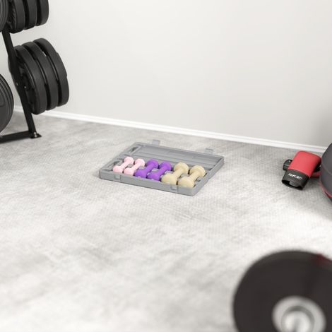 Set di 6 manubri con valigetta, 0,5 kg, 1 kg e 1,5 kg, rosa OKMYHOME (1/5)