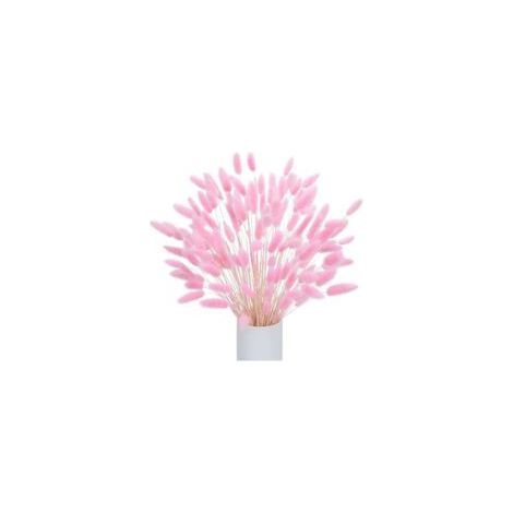 120 tiges d'herbe de la pampa séchée naturelle pour la décoration, fleurs d'herbe de la pampa séchées, décoration de bouquet séché, convient pour les fleurs de mariage bohèmes et les décorations de ta (1/4)