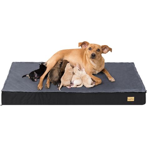 Bingo Paw – Coussin orthopédique pour chien XXL 120x75cm – Housse déhoussable et lavable – Matelas imperméable en mousse à mémoire de forme (1/5)