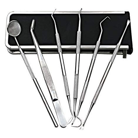 Kit Dentaire en Acier Inoxydable pour Détartrage et Nettoyage des Dents, Grattoir à Tartre, Curette Dentaire, Miroir de Dentiste, Outils pour Gommes et Pierres Amygdaliennes