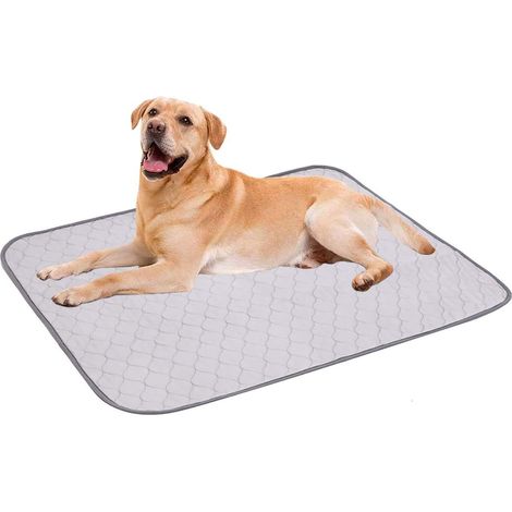 Lot de 4 Tapis de propreté imperméables antidérapants pour Chien, Tapis Educateur pour Chien Chiot Absorbant Rapide , Tapis d'urine pour Chat et Chien - 45 x 60 cm - Gris (1/5)