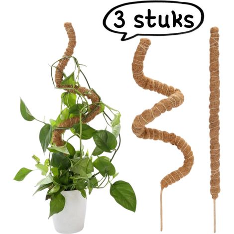 3 pièces colonne de mousse pour plante fibre de coco flexible en forme de bâton support végétal pour mousse support de jardin pour pothos et monstera 40 cm noyau aluminium 5 mm couleur brune (1/5)