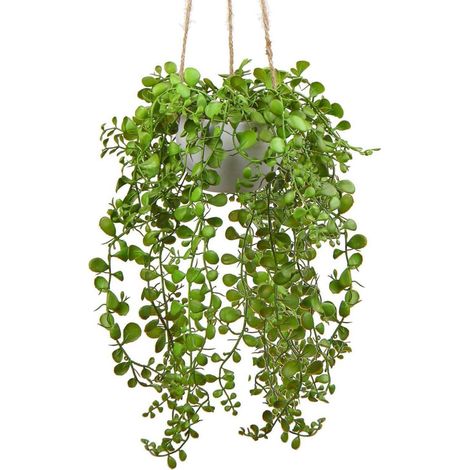 Kunstpflanze Ficus Pumila Hängepflanze Wand Deko 35cm Type 3 (1/5)