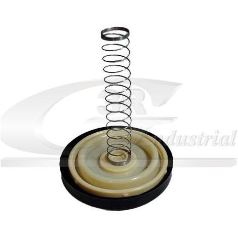 3RG 48909 CUBIERTA VÃÂLVULA