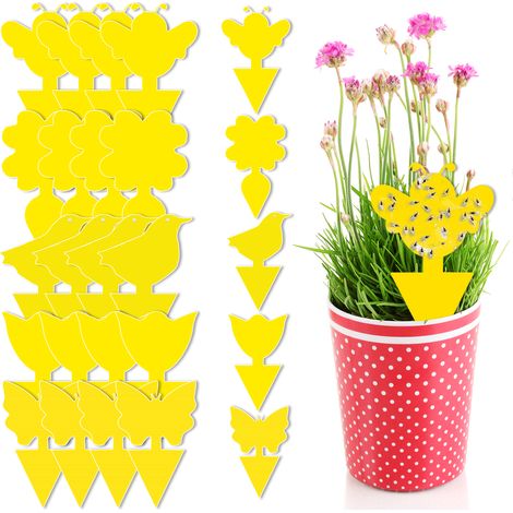 Colla per vasi da fiori Heckermann, 20 pezzi (1/5)