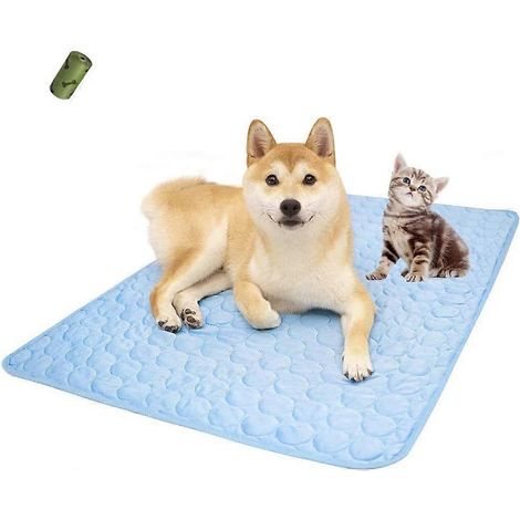 Tapis rafraîchissant et matelas de sol d'été - Surface absorbante, dessous imperméable, matériaux sûrs, facile à transporter 40 x 30 cm (1/5)