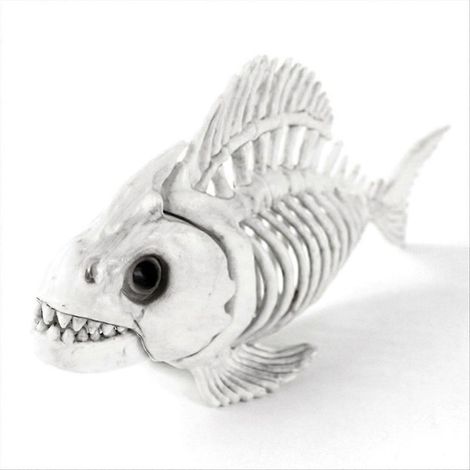 Squelette de Poisson Décoratif Halloween, Crâne de Carpe en Plastique pour Animaux, Modèle Effrayant (1/5)