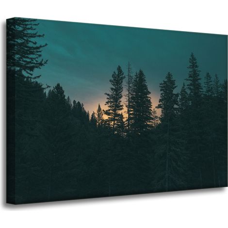 Lienzo impreso Naturaleza Bosque al atardecer 70x50 cm Oscuridad