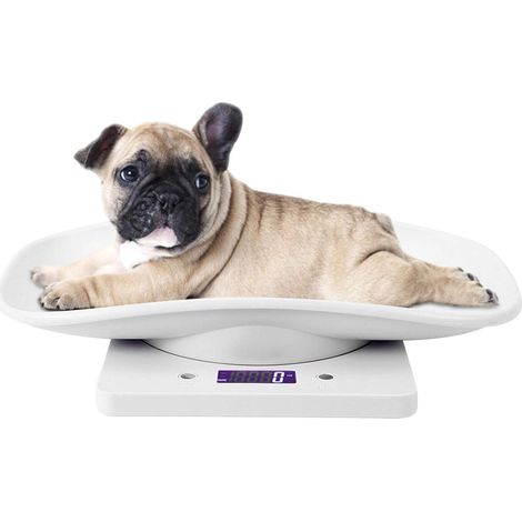1 Balance électronique, Capacité 10kg, Précision 1g, Écran LCD, Matériau ABS, Pour chien chat cuisine (1/5)