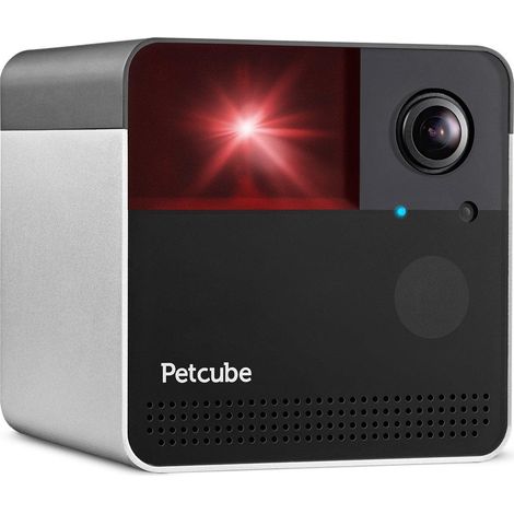 Reolink Petcube Play 2 interaktive Kompaktkamera schwarz