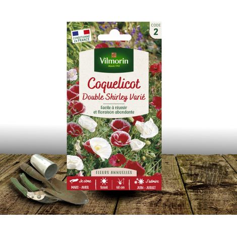Graines de Pavot (Coquelicot) double Shirley varié - Vilmorin/Sachet