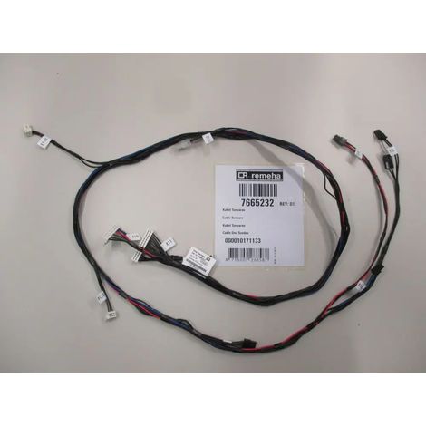 Remeha Kabel LV/ELV, 7665232