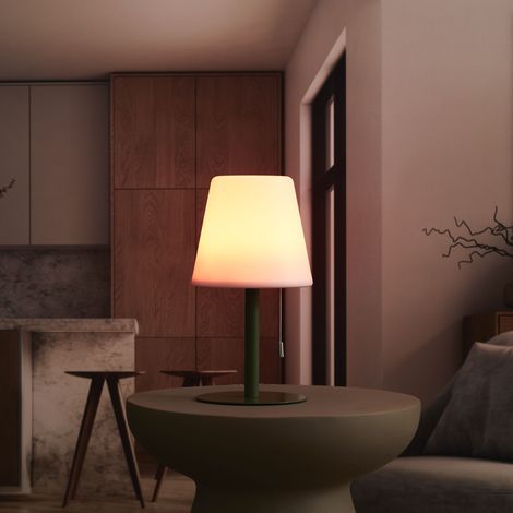 Lampe - HOME DECO FACTORY - Rechargeable - USB - IP44 - Verte (1/5)