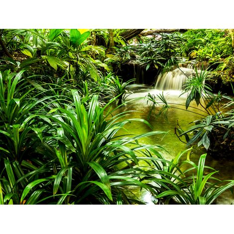 papier peint panoramique cascade vert - Sanders & Sanders (1/5)