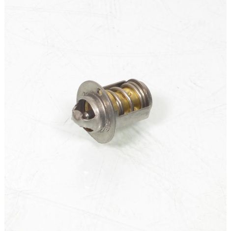 rms-thermostat für zweiräder neu (1/4)
