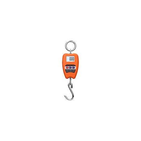 Balance Numérique Professionnelle 200kg, Dynamomètre avec Crochet Suspendu, Idéal pour Pesée de Valises et Applications Industrielles