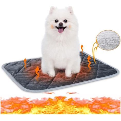 [JAMAIS UTILISÉ] Tapis Auto - chauffant pour chat en chien (1/4)