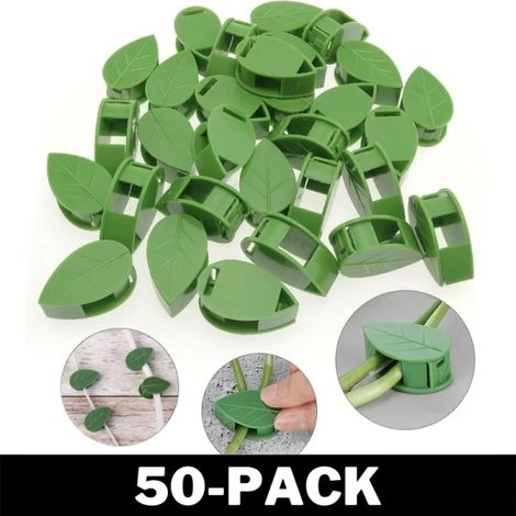 Supports adhésifs pour plantes - Clips invisibles intelligents pour plantes (lot de 50) (1/5)