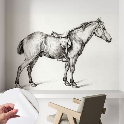 Papier peint autocollant adhésif avec imprimé installation simple qualité excellente sans désordre Esquisse de cheval 104x70 cm (1/5)