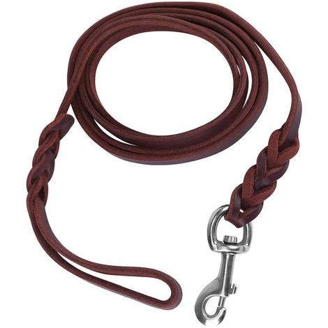 Leather Dog Leash - 1.6m - Ideal for Walking and Running, Optimal Safety (1/5)