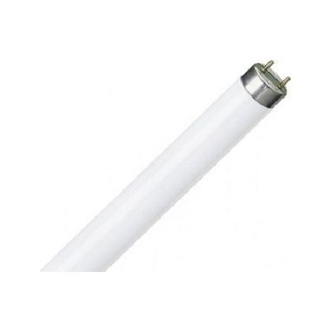 Set Lampada Fluorescente T8 Trimax 18W Attacco G13 Luce Fredda 6500K