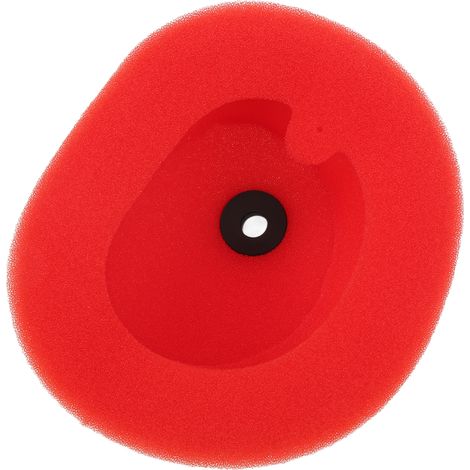 Geschmierter Luftfilter für Motorräder, aus waschbarem und wiederverwendbarem Schwamm, für CRF 250R 2010-2013 (1/5)