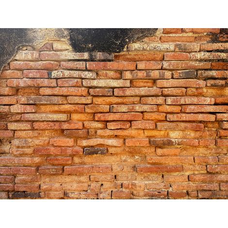 Papier peint panoramique - Mur en briques - 260 cm x 195 cm (1/2)