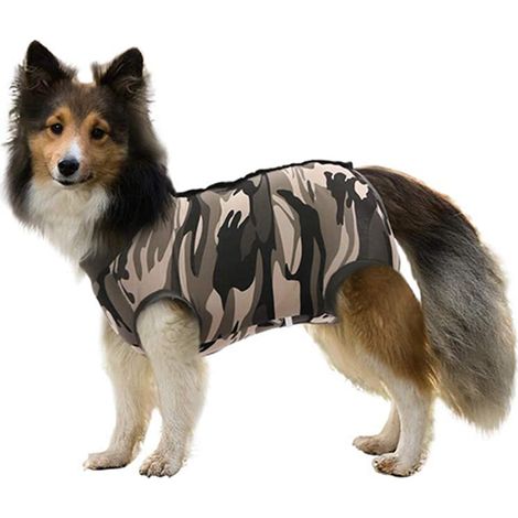 Mono de recuperación, botones a presión, modal transpirable, lavable a máquina, para perros y gatos machos y hembras. (1/5)