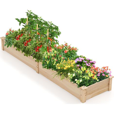 Potager surélevé en bois de sapin naturel avec 2 bacs et séparateurs, fond ouvert et pieds rainurés pour jardin, terrasse, balcon (1/5)