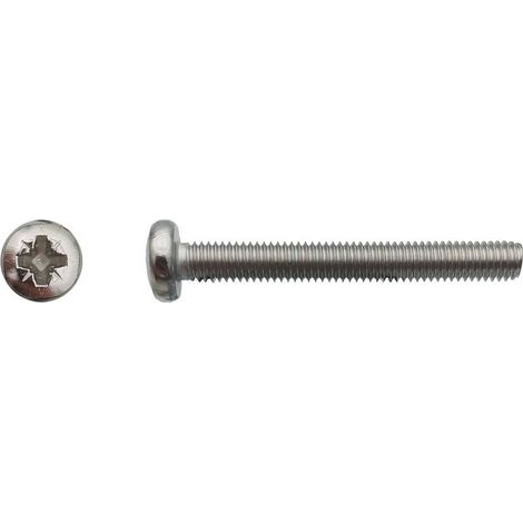 500 Vis Métaux Tête Cylindrique Pozidriv 4 x 6 mm - DIN 7985 - Inox A4 - D-Work