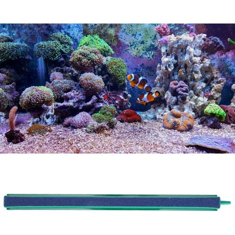 Pompe à Air pour Aquarium Décoration Paysagère Tube Diffuseur d'Air en Pierre de 25cm (1/5)