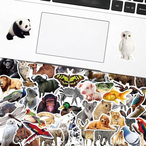 Autocollants Animaux de la Forêt – Lot de 50, imperméables, autocollants photo d'animaux pour enfants de 2 à 12 ans (1/4)
