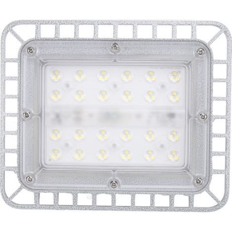 Lampe LED antidéflagrante 50W 5500LM 5000K, haute luminosité IP65, résistante à l'eau, lampe en aluminium moulé sous pression 220V (1/5)