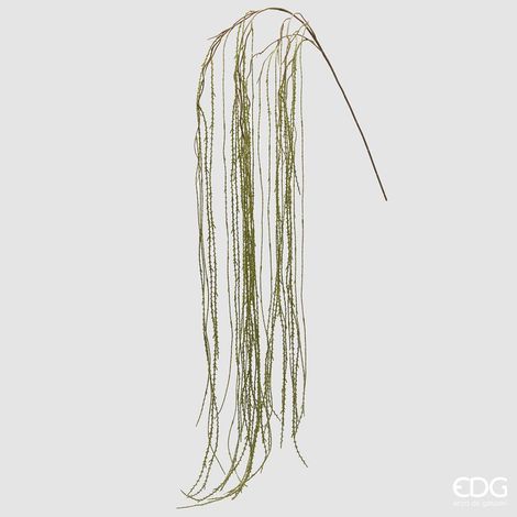 EDG Enzo De Gasperi Lycopodium Ramo L 186 Cm Colore Verde (1/3)