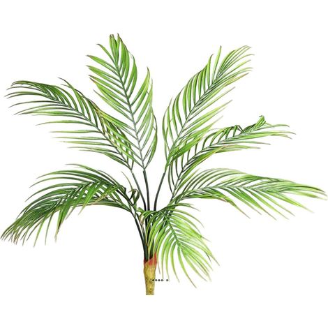 Piquet de 8 feuilles de Palmier Phoenix artificielles H 65 cm D 60 cm (1/3)