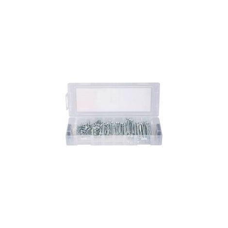 Surtido de tornillos Fischer mini fixtainer powerfast ii galvanizado 125 piezas