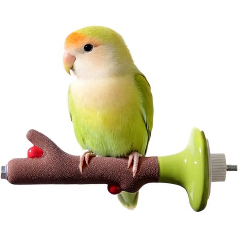Percha para periquitos Plataforma de descanso para aves con forma de rama (1/5)