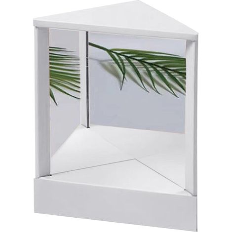 Miroir véritable, pas de durée de triangle inversé, pas de miroir inversé pour une image réelle (A) (1/5)