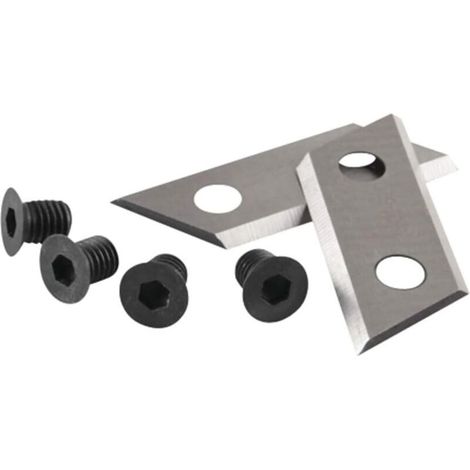 RYOBI - Jeu de 2 Lames Ryobi pour Broyeurs de végétaux RAC351 : Lames et couteaux pour Broyeur vegetaux RSH2545B / RSH2400R