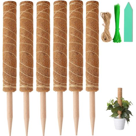 Tuteur en Mousse de Coco de 40 cm, Support pour Plantes Grimpantes (Monstera, Pothos), Vrilles avec 100 Attaches Torsadées, Ruban de Ligature de 1 m, 10 Étiquettes Vertes pour Plantes. (1/5)