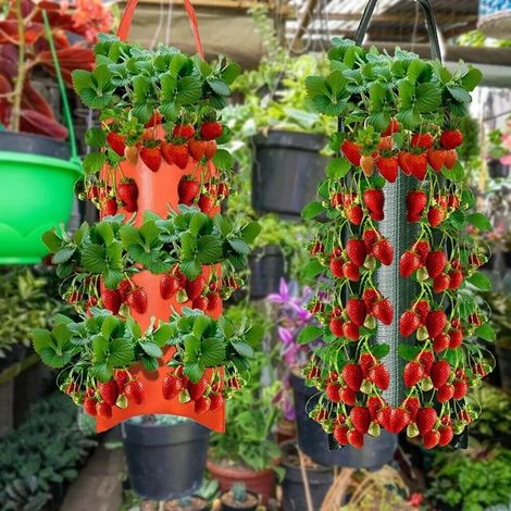 Filiyano-Lot de 2 sacs de plantation muraux pour tomates, fraises, pommes de terre et piments. Pot de culture. (1/5)