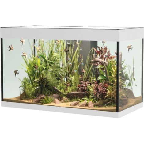 OPERA AQUARIUM 150 WHITE (1/5)