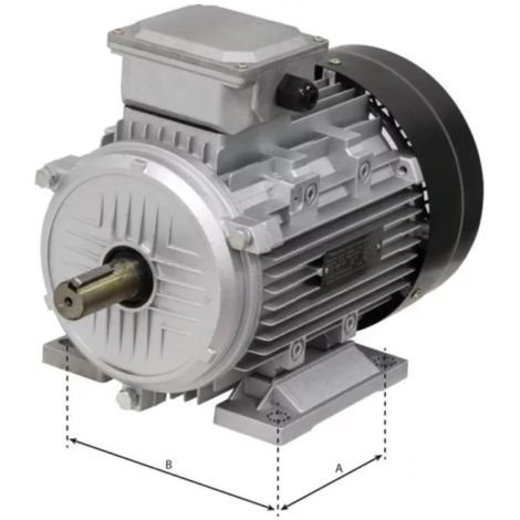 Moteur électrique 5.5CV 400V 3000 Tr/mn (1/3)