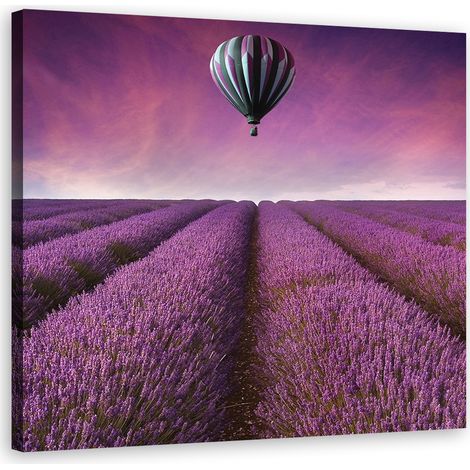 Tableau décoratif Champ de lavande Nature 30x30 (1/5)