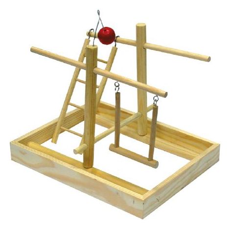 Gioco Cocoriti Palestra CROCI